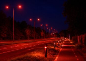 Cidade Europeia troca postes brancos por luzes vermelhas para salvar uma espécie em extinção