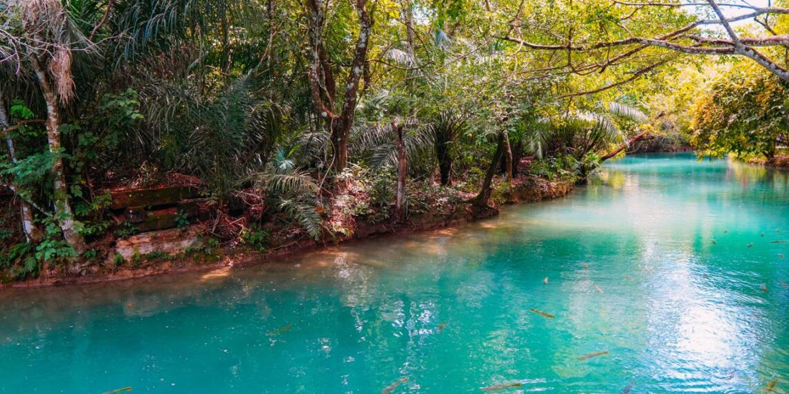 Eleita 16 vezes o melhor destino de ecoturismo do Brasil: a cidade do Mato Grosso do Sul com rios de visibilidade de até 60 metros