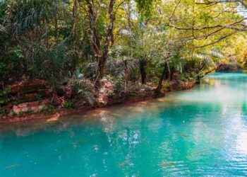 Eleita 16 vezes o melhor destino de ecoturismo do Brasil: a cidade do Mato Grosso do Sul com rios de visibilidade de até 60 metros