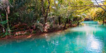Eleita 16 vezes o melhor destino de ecoturismo do Brasil: a cidade do Mato Grosso do Sul com rios de visibilidade de até 60 metros