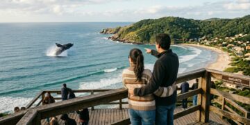 Encontro inesquecível com gigantes de 18 metros na costa: a experiência que define este destino catarinense é um marco de beleza absoluta