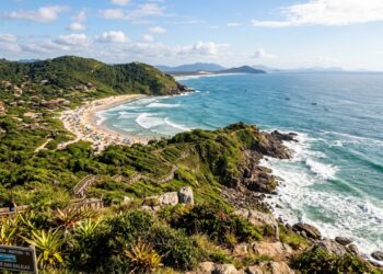 A Capital Nacional da Baleia Franca fica em Santa Catarina e recebe gigantes de até 18 metros perto da arrebentação no inverno