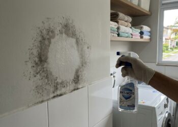 A casa cheia de mofo ficou para trás: o macete começa antes de passar qualquer pano