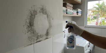 A casa cheia de mofo ficou para trás: o macete começa antes de passar qualquer pano