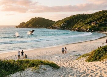 Selo mundial de beleza emoldura este cenário no litoral catarinense: observação de baleias-francas direto da areia marca a experiência local