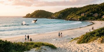 Selo mundial de beleza emoldura este cenário no litoral catarinense: observação de baleias-francas direto da areia marca a experiência local