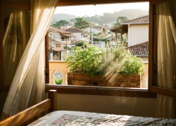 As 6 folhagens densas que não abrigam mosquitos e deixam a floreira da janela do quarto 100% segura durante a noite
