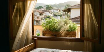 As 6 folhagens densas que não abrigam mosquitos e deixam a floreira da janela do quarto 100% segura durante a noite