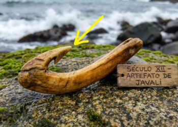 Cientistas descobriram que as Ilhas Canárias escondiam na Idade Média uma sociedade engenhosa com uma economia focada em frutos do mar que desafia os livros de história