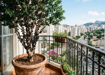 As 5 árvores frutíferas que cabem em vasos no apartamento e dão fruta de verdade na varanda