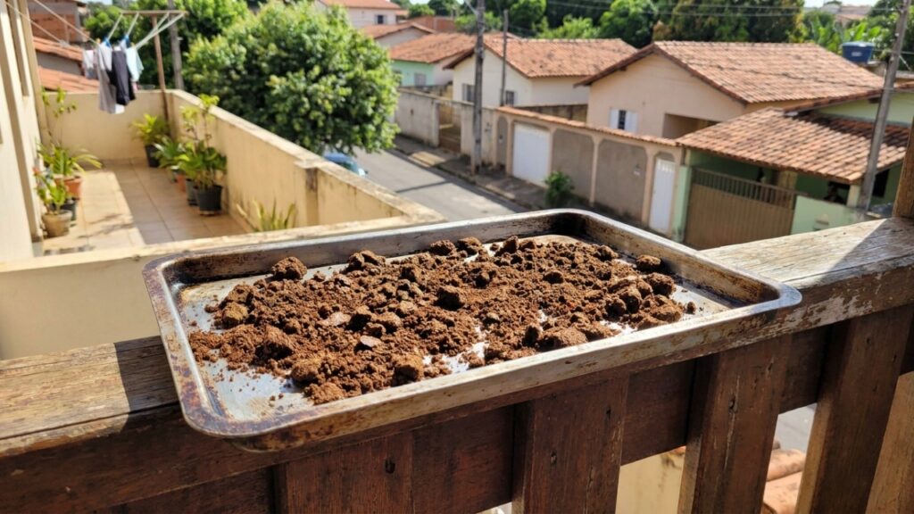 Colocar borra de café dentro da geladeira à noite: para que serve e por que você deve fazer