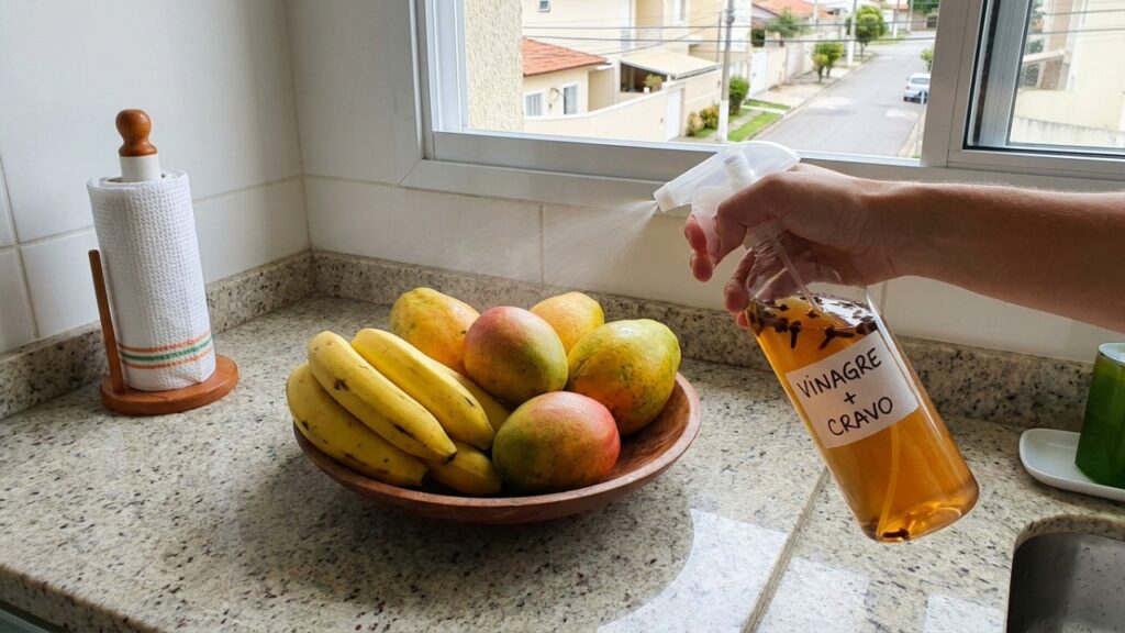 Mistura de vinagre de álcool com cravo-da-índia: para que serve e por que é recomendada para afastar moscas da mesa