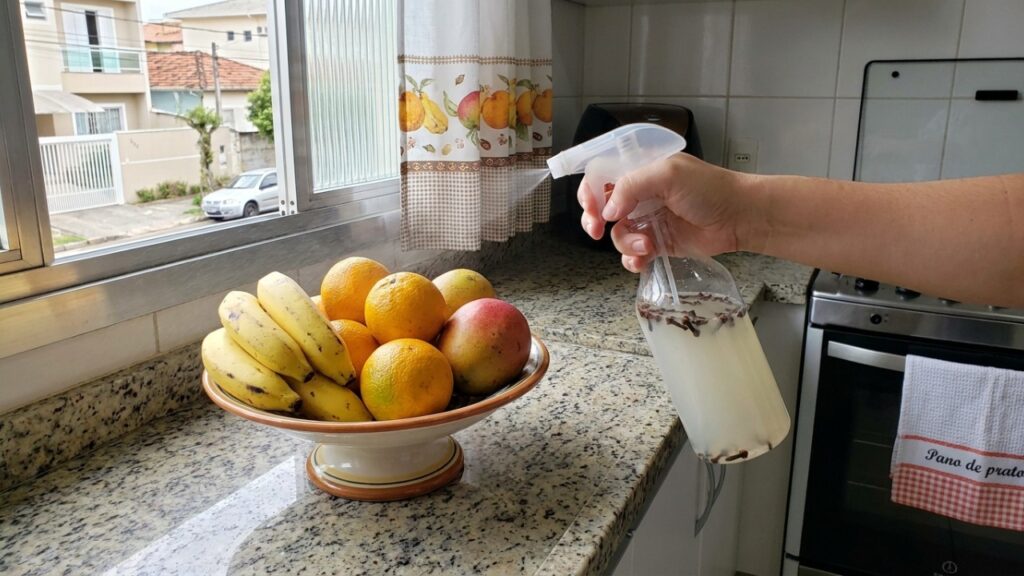 Mistura de vinagre de álcool com cravo-da-índia: para que serve e por que é recomendada para afastar moscas da mesa