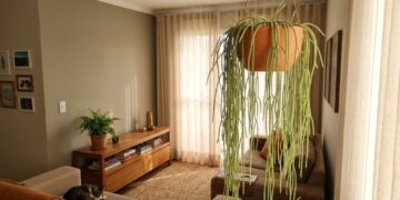 O cacto sem espinhos que virou moda na decoração porque além de ter um formato escultural, é seguro para casas com animais