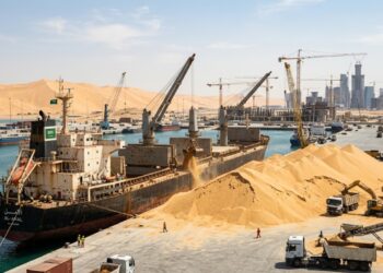 O grão extremamente fino da areia do deserto força um dos locais com maior quantidade de areia no mundo a importar o material de outras nações
