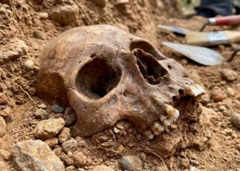 Fóssil em Marrocos considerado um enigma para a cronologia tradicional surpreende o mundo ao registrar quase 800.000 anos e reescrever a origem da nossa espécie