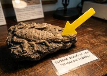 O escorpião gigante de 415 milhões de anos que viveu muito antes dos dinossauros e deixou um legado que intriga a ciência