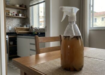 Mistura de vinagre de álcool com cravo-da-índia: para que serve e por que é recomendada para afastar moscas da mesa