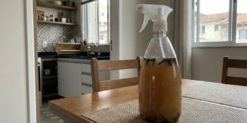 Mistura de vinagre de álcool com cravo-da-índia: para que serve e por que é recomendada para afastar moscas da mesa