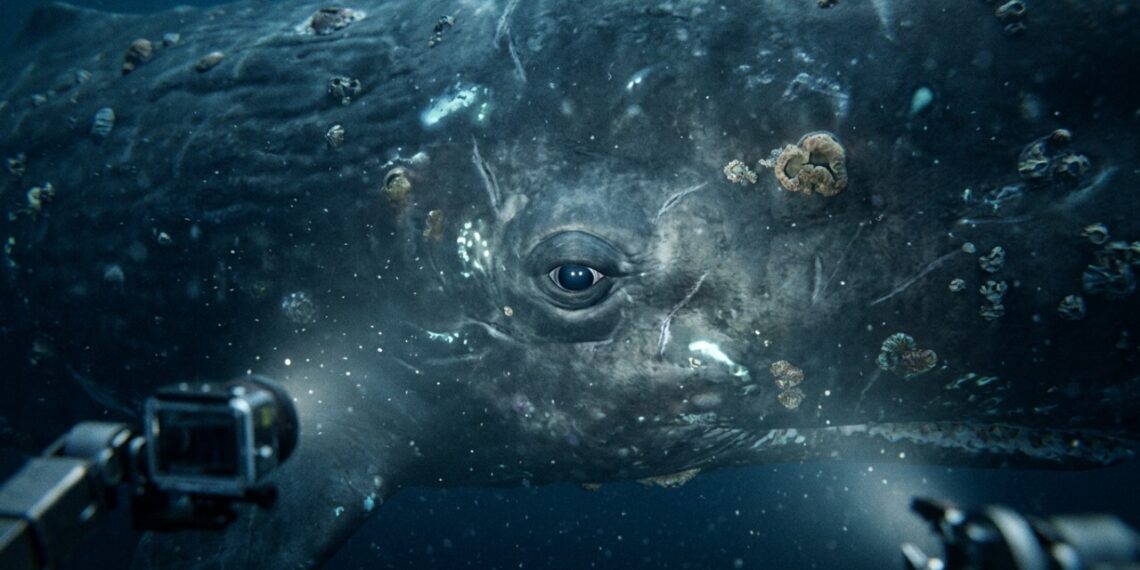 Austrália rastreia o oceano a 4.500 metros de profundidade e encontra o DNA de um gigante que estava desaparecido há 25 anos