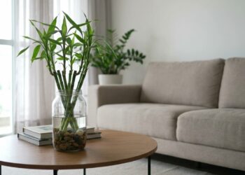 A planta aquática que virou moda em pequenos potes de vidro porque além de enfeitar a mesa de centro, não atrai mosquitos