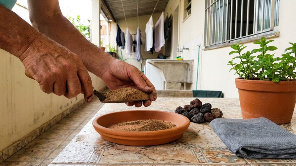 As 6 folhagens densas que não abrigam mosquitos e deixam a floreira da janela do quarto 100% segura durante a noite