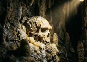 Este crânio de hominídeo de 286 mil anos achado na caverna de Petralona considerado um enigma sem resposta surpreende cientistas ao questionar quem habitou a Europa antes dos neandertais