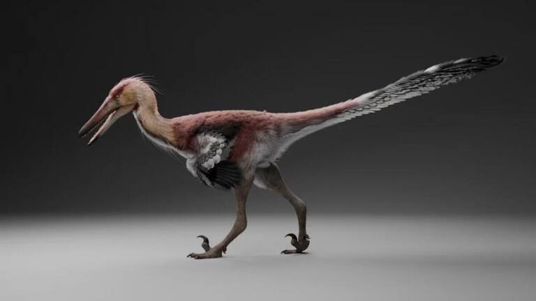 Finalmente foi descoberto o primeiro fóssil de uma das espécies mais famosas de dinossauro, deixando um legado que intriga cientistas da Argentina e do Japão