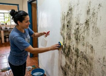 Como tirar mofo escuro das paredes no inverno: o truque fácil da solução borrifada que sempre funciona