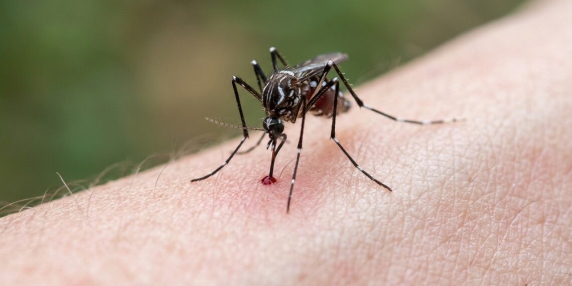 Os 7 animais mais mortais do planeta que desafiam a biologia com toxinas letais e ainda escondem segredos químicos que a medicina tenta decifrar