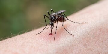 Os 7 animais mais mortais do planeta que desafiam a biologia com toxinas letais e ainda escondem segredos químicos que a medicina tenta decifrar