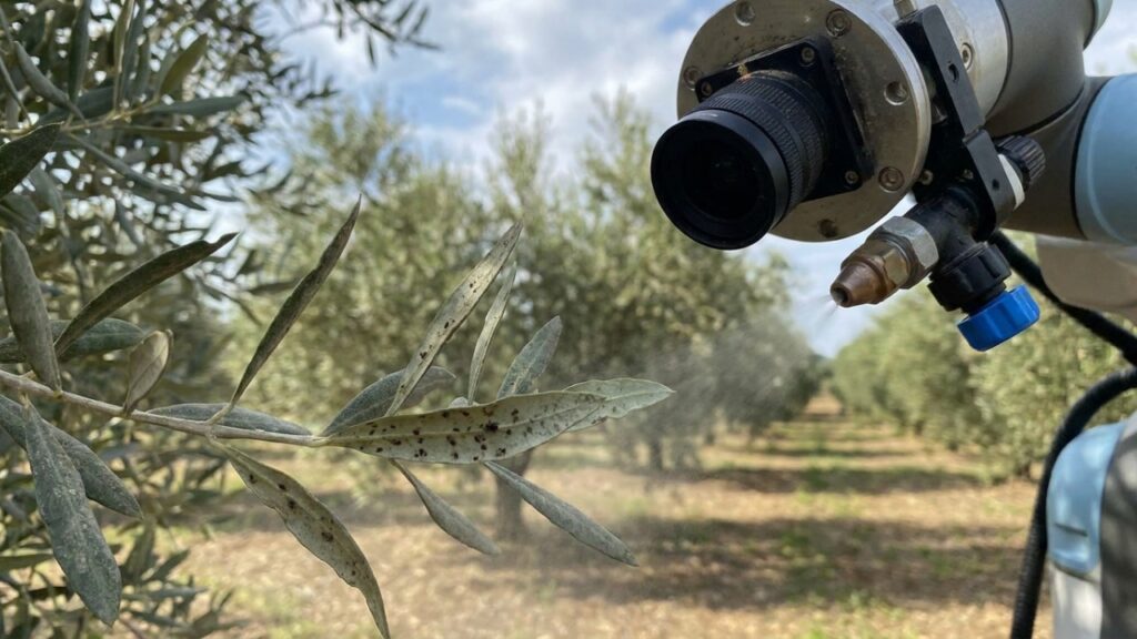 O novo robô com inteligência artificial que virou tendência na agricultura porque além de escanear plantações folha por folha, só dispara pesticida em dez segundos se detectar uma praga