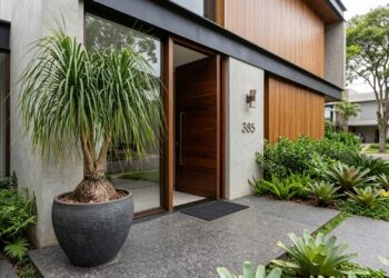 A suculenta gigante que virou moda em vasos de entrada porque além de parecer uma escultura, não precisa ser replantada nunca