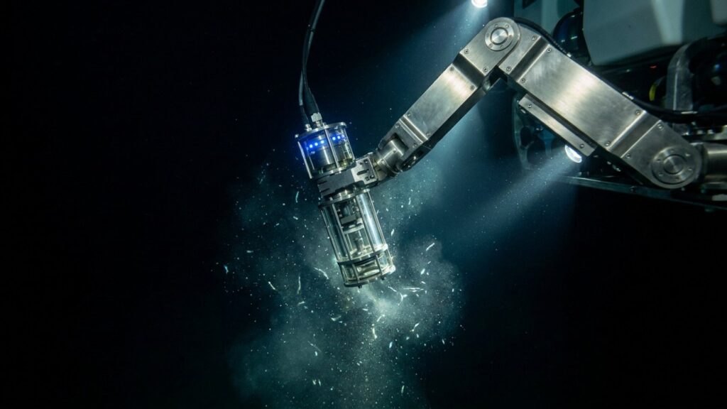 Austrália rastreia o oceano a 4.500 metros de profundidade e encontra o DNA de um gigante que estava desaparecido há 25 anos