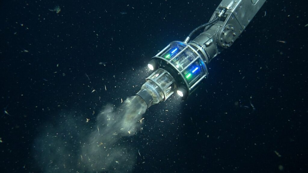 Austrália rastreia o oceano a 4.500 metros de profundidade e encontra o DNA de um gigante que estava desaparecido há 25 anos