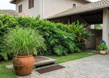 As 6 folhagens densas que espantam baratas de esgoto e deixam a área perto dos ralos do quintal totalmente protegida