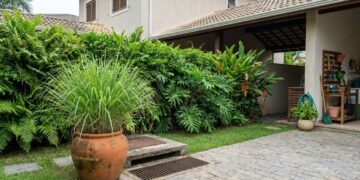 As 6 folhagens densas que espantam baratas de esgoto e deixam a área perto dos ralos do quintal totalmente protegida