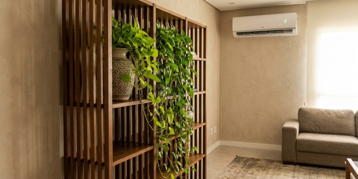 A planta pendente rústica que virou moda em estantes altas porque além de crescer metros por ano, não liga para ar-condicionado