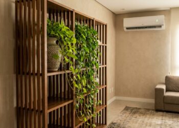 A planta pendente rústica que virou moda em estantes altas porque além de crescer metros por ano, não liga para ar-condicionado