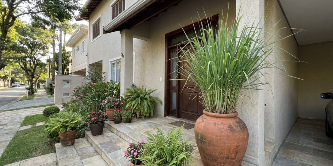 6 plantas com perfume de limão que crescem rápido e ainda deixam a entrada da casa com aroma de limpeza diária