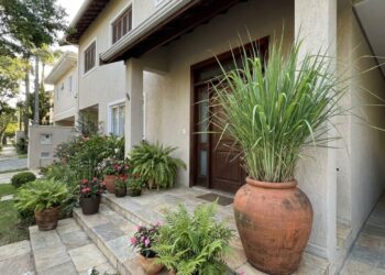 6 plantas com perfume de limão que crescem rápido e ainda deixam a entrada da casa com aroma de limpeza diária