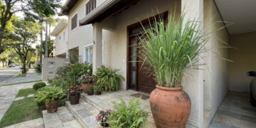 6 plantas com perfume de limão que crescem rápido e ainda deixam a entrada da casa com aroma de limpeza diária