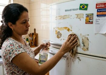 Por que o vinagre não deve ser usado para limpar tudo: as três superfícies que ele estraga de vez
