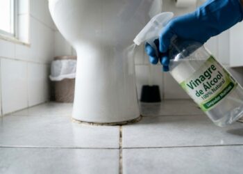 Qual a finalidade de borrifar vinagre ao redor do vaso sanitário e por que é recomendado?