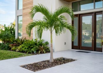 As 5 palmeiras de tronco fino cujas raízes são compactas garantem um visual praiano na fachada sem risco de rachaduras