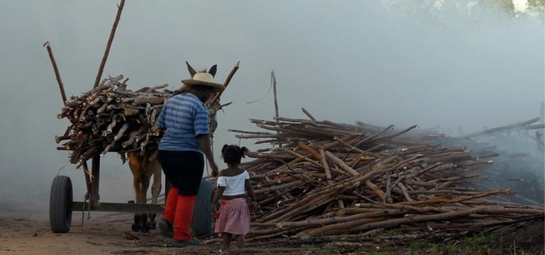 Denúncias de trabalho análogo à escravidão aumentou em 2019, para 1.213 casos em todo o país.