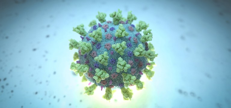 Imagem de computador criada pela Nexu Science Communication, em conjunto com o Trinity College, em Dublin, mostra um modelo estruturalmente representativo de um betacoronavírus, que é o tipo de vírus vinculado ao COVID-19, mais conhecido como coronavírus ligado ao surto de Wuhan.