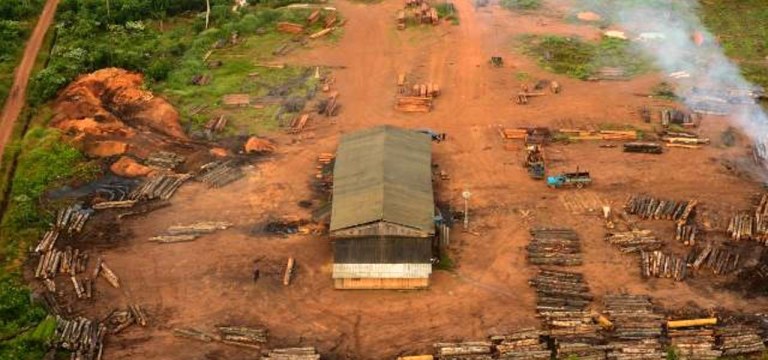 17ª BRIGADA DE INFANTARIA DE SELVA APRESENTA RESULTADOS INICIAIS DA OPERAÇÃO VERDE BRASIL 2