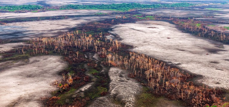 Amazônia bate recorde diz Inpe em desmatamento no mês de junho.