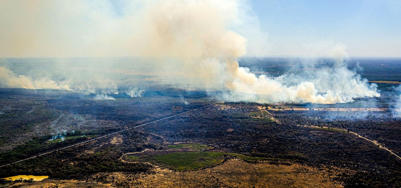 A Secretaria de Estado de Meio Ambiente (Sema) está destinando máquinas utilizadas em crimes ambientais para combate aos incêndios no Pantanal 10 de agosto de 2020